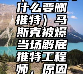 这都可以？（马斯克为什么要删推特）马斯克被爆当场解雇推特工程师，原因竟是人气下降，