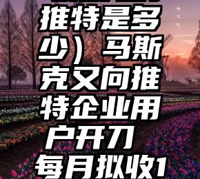 干货满满（马斯克的推特是多少）马斯克又向推特企业用户开刀 每月拟收1000美元认证费，
