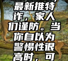 没想到（推特上诈能找到吗）最新推特诈，家人们谨防。当你自以为警惕性很高时，可能已经遭重了！！！，