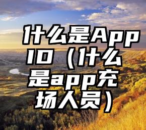 什么是AppID（什么是app充场人员）