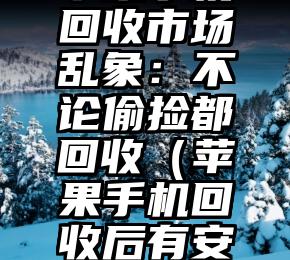 苹果手机回收市场乱象：不论偷捡都回收（苹果手机回收后有安全隐患吗）