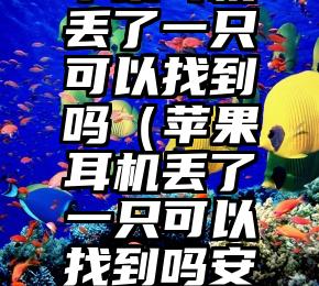 苹果耳机丢了一只可以找到吗（苹果耳机丢了一只可以找到吗安全吗）