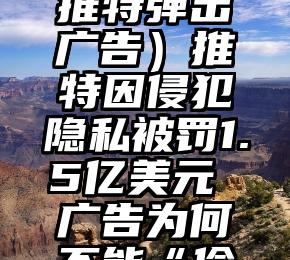 燃爆了（推特弹出广告）推特因侵犯隐私被罚1.5亿美元 广告为何不能“偷卖”？，