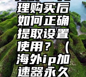 海外IP代理购买后如何正确提取设置使用？（海外ip加速器永久免费版）