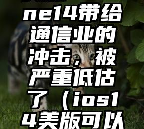 美版iPhone14带给通信业的冲击，被严重低估了（ios14美版可以更新吗）