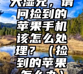 大湿兄，请问捡到的苹果手机该怎么处理？（捡到的苹果怎么办）