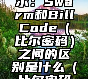 BILL比尔：Swarm和BillCode（比尔密码）之间的区别是什么（比尔密码对照图）