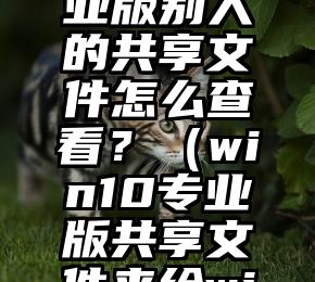 Win10专业版别人的共享文件怎么查看？（win10专业版共享文件夹给win7）