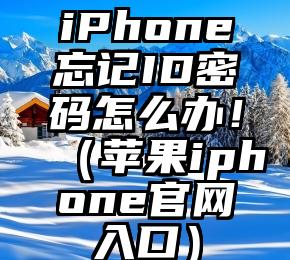 iPhone忘记ID密码怎么办！（苹果iphone官网入口）