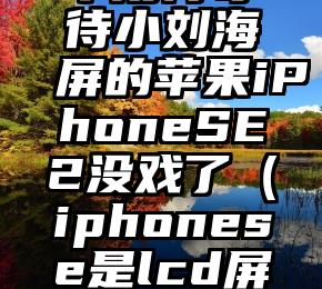 不用再等待小刘海屏的苹果iPhoneSE2没戏了（iphonese是lcd屏幕吗）