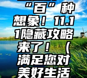 满足美好生活的“百”种想象！11.11隐藏攻略来了！（满足您对美好生活的一切想象）