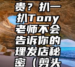 为什么剪头越来越贵？扒一扒Tony老师不会告诉你的理发店秘密（剪头发为什么叫托尼）
