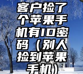 客户捡了个苹果手机有ID密码（别人捡到苹果手机）
