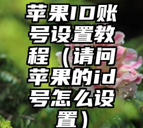 苹果ID账号设置教程（请问苹果的id号怎么设置）
