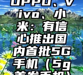 OPPO、vivo、小米：有信心推出国内首批5G手机（5g首发手机）