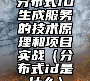 分布式ID生成服务的技术原理和项目实战（分布式id是什么）