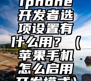 iphone开发者选项设置有什么用？（苹果手机怎么启用开发模式）