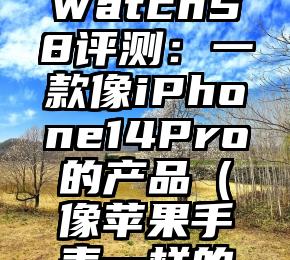 【有料评测】AppleWatchS8评测：一款像iPhone14Pro的产品（像苹果手表一样的手表是什么）