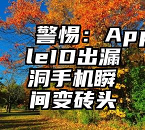✅警惕：AppleID出漏洞手机瞬间变砖头