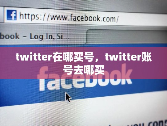 详细阅读:twitter在哪买号,twitter账号去哪买 twitter在哪买号,twitter账号去哪买