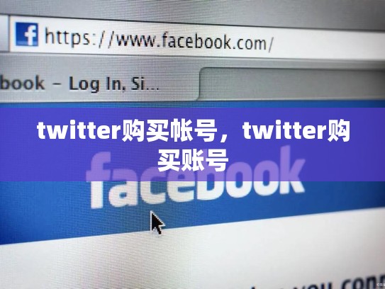 twitter购买帐号，twitter购买账号