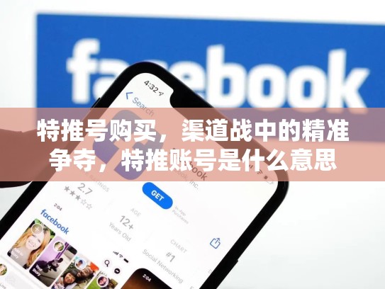 特推号购买，渠道战中的精准争夺，特推账号是什么意思