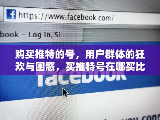 购买推特的号，用户群体的狂欢与困惑，买推特号在哪买比较好