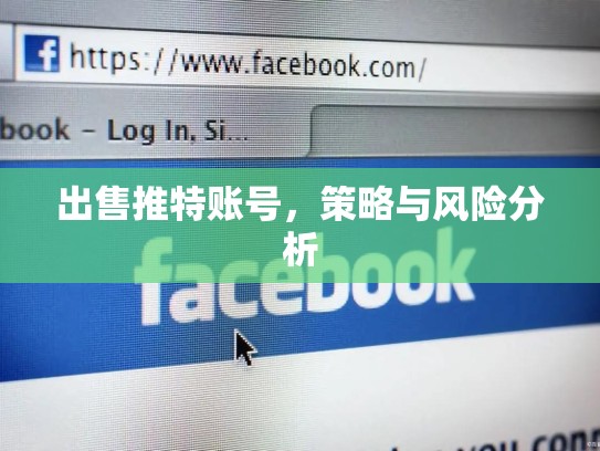 出售推特账号，策略与风险分析
