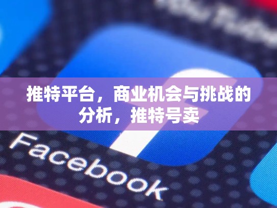 推特平台，商业机会与挑战的分析，推特号卖