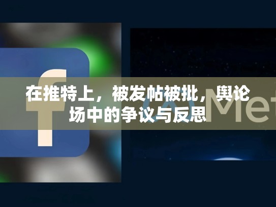 在推特上，被发帖被批，舆论场中的争议与反思