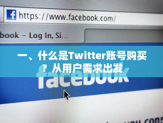 一、什么是Twitter账号购买？从用户需求出发