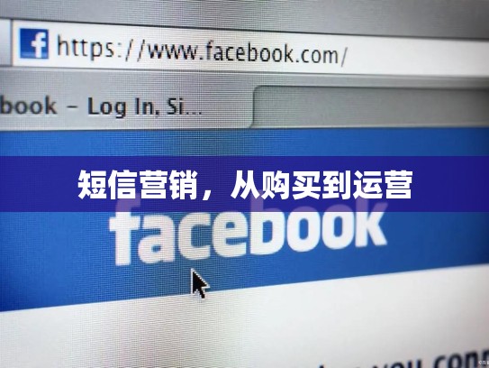 短信营销，从购买到运营