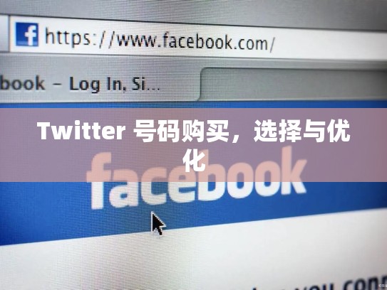 Twitter 号码购买，选择与优化
