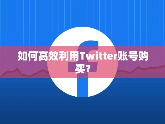 如何高效利用Twitter账号购买？
