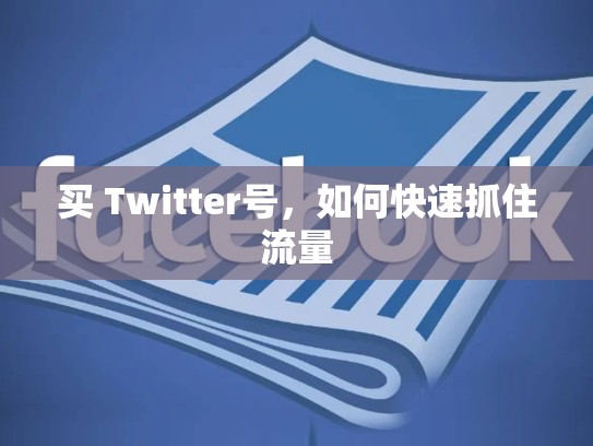 买 Twitter号，如何快速抓住流量