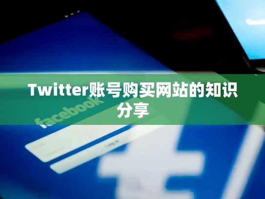 Twitter账号购买网站的知识分享