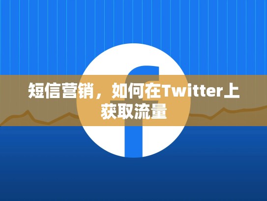短信营销，如何在Twitter上获取流量
