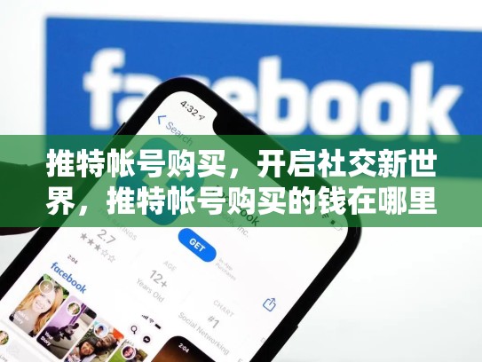 推特帐号购买，开启社交新世界，推特帐号购买的钱在哪里