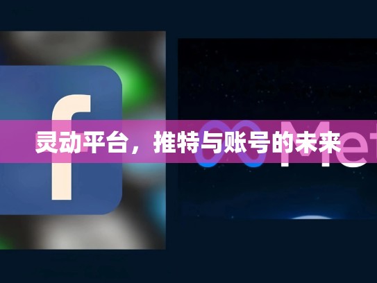 灵动平台，推特与账号的未来