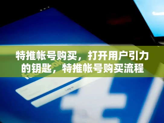 特推帐号购买，打开用户引力的钥匙，特推帐号购买流程
