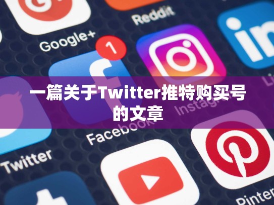 一篇关于Twitter推特购买号的文章