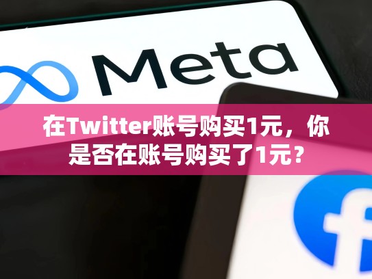 在Twitter账号购买1元，你是否在账号购买了1元？