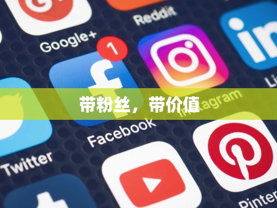 带粉丝，带价值