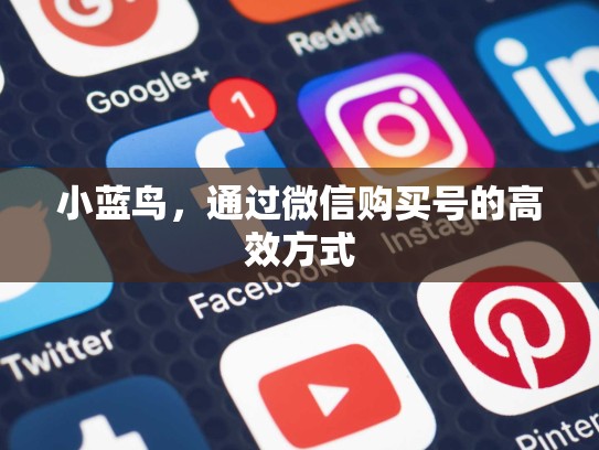 小蓝鸟，通过微信购买号的高效方式