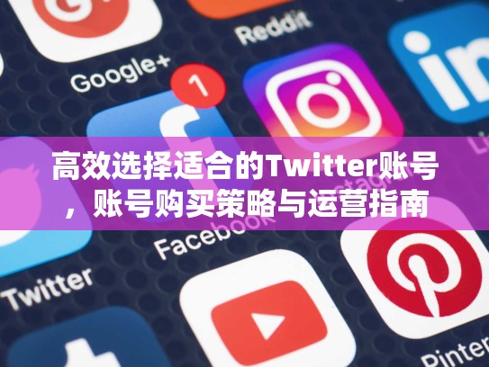 高效选择适合的Twitter账号，账号购买策略与运营指南