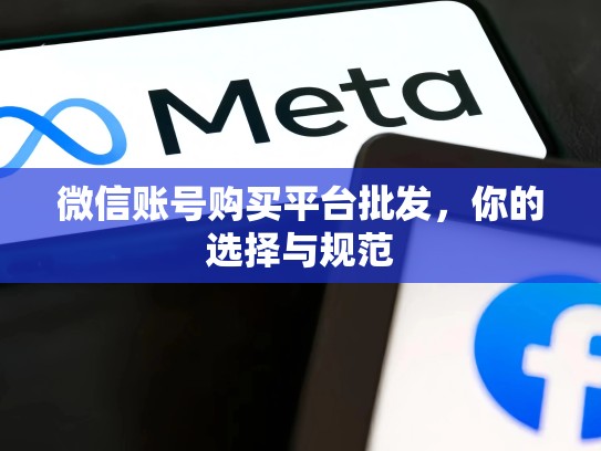 微信账号购买平台批发，你的选择与规范