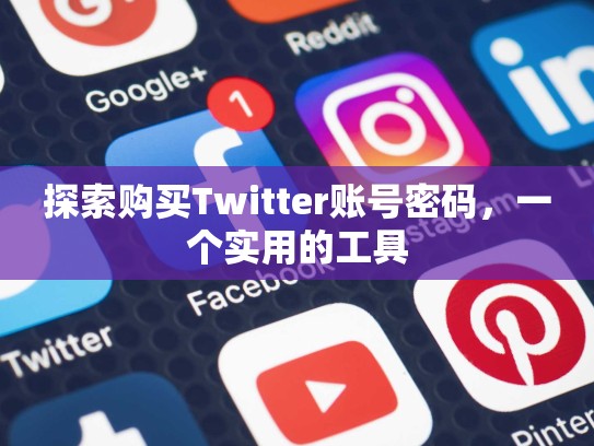 探索购买Twitter账号密码，一个实用的工具