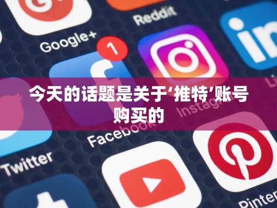 今天的话题是关于‘推特’账号购买的