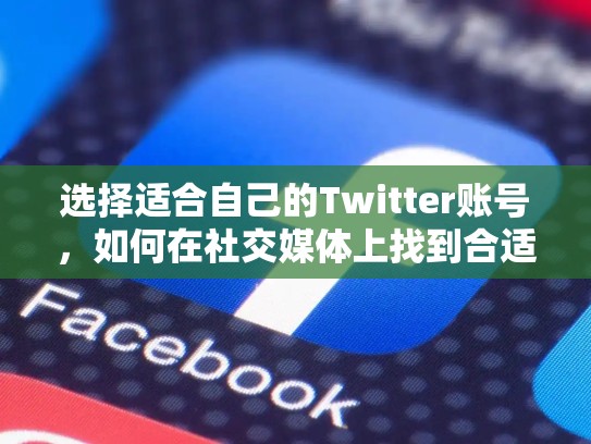 选择适合自己的Twitter账号，如何在社交媒体上找到合适的人