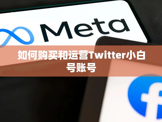 如何购买和运营Twitter小白号账号